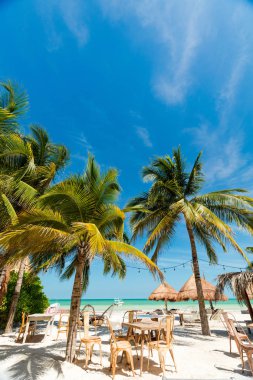 Isla Holbox üzerinde tropikal plaj ayarı, Quintana Roo, Meksika
