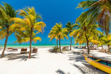 Isla Holbox üzerinde tropikal plaj ayarı, Quintana Roo, Meksika