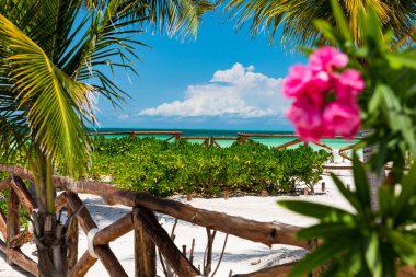 Isla Holbox, Quintana Roo, Meksika'da tropikal plaj ayarı