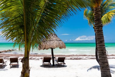 Isla Holbox'ta güneşli plaj, Quintana Roo, Meksika