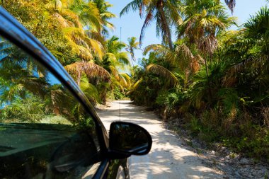 Sian Kaan rezerv ormanda sürüş, Quintana Roo, Meksika