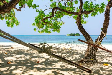 Güneşli bir günde tropikal Maldivler plajda gölgede Hamak