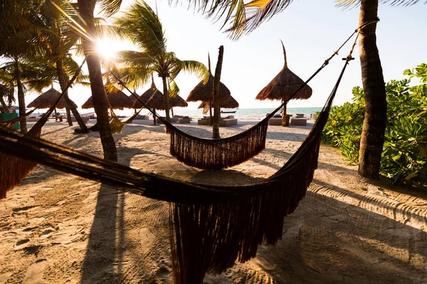 Tropical Beach Setting Isla Holbox Quintana Roo Mexico — Stockfoto