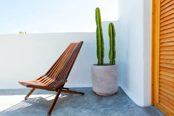 Stoel Cactus Plant Een Stijlvol Mexicaans Huis — Stockfoto