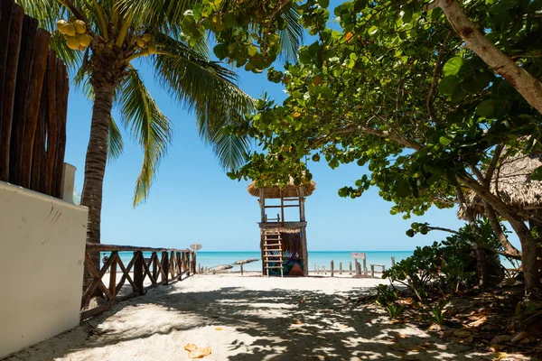 Playa Tropical Isla Holbox Quintana Roo México México — Foto de Stock