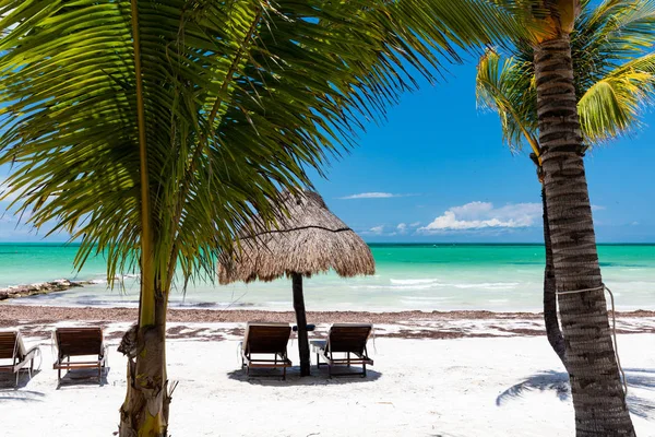Isla Holbox'ta güneşli plaj, Quintana Roo, Meksika