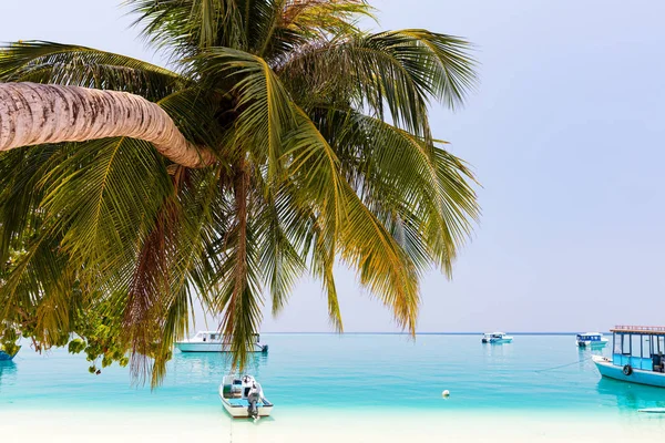 阳光明媚的一天 安静的马尔代夫海港 有船只和棕榈树 — 图库照片