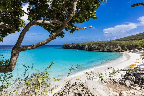 Panenská pláž Grote KNIP na tropickém ostrově Curacao — Stock fotografie