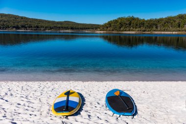 Fraser Adası, QLD, Avustralya 'daki Mckenzie Gölü' nün kumsalındaki kürek tahtalarını kaldırın.