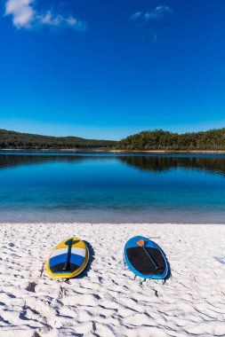 Fraser Adası, QLD, Avustralya 'daki Mckenzie Gölü' nün kumsalındaki kürek tahtalarını kaldırın.