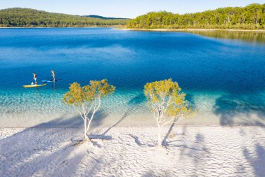 Çift ayağa kalkın Mckenzie Gölü, Fraser Adası, Queensland, Avustralya