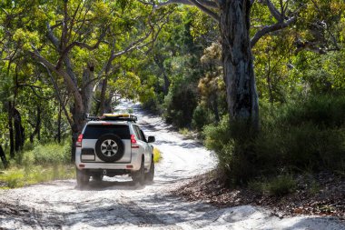 Fraser Adası, Queensland, Avustralya 'dan geçen off road aracı.