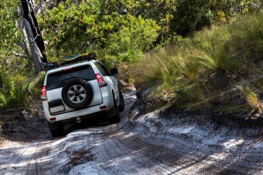 Fraser Adası, Queensland, Avustralya 'dan geçen off road aracı.