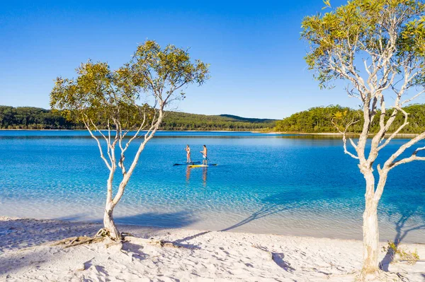 Pareja Pie Paddle Boarding Lago Mckenzie Fraser Island Queensland Australia —  Fotos de Stock