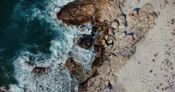 Bord Mer Avec Des Vagues Par Une Journée Ensoleillée — Video