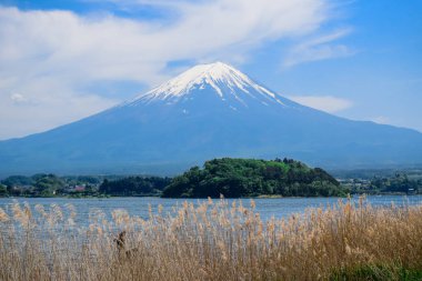 Fuji Dağı'nın görünümü Oishi Park, Lake Kawaguchiko kuzey kıyısında, Yamanashi Japonya
