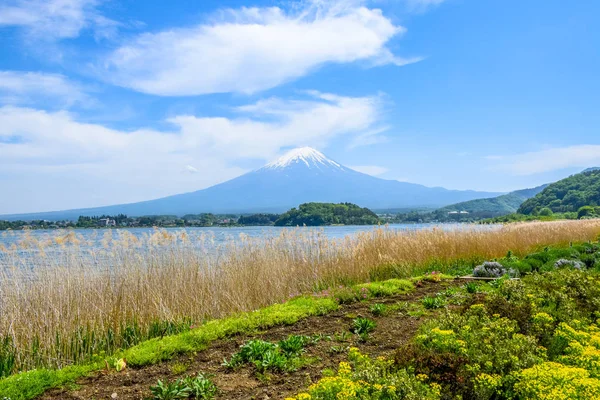 Vista Del Monte Fuji Desde Parque Oishi Costa Norte Del — Foto de Stock