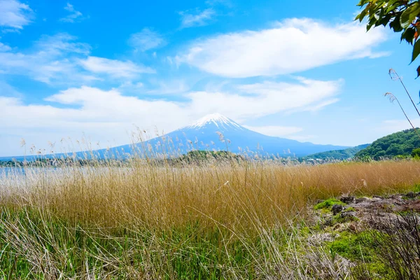 Nézd Meg Mount Fuji Kawaguchiko Északi Partján Yamanashi Japán Oishi — Stock Fotó
