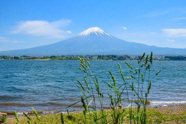 Kawaguchiko Gölü, Japonya Açık mavi gökyüzü ünlü Fuji Dağı görünümünde