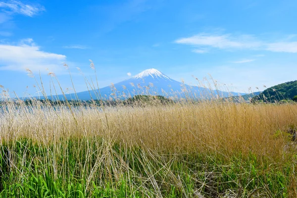 Mount Fuji View Oishi Park Lake Kawaguchiko Northern Coast Yamanashi — Stock Photo, Image