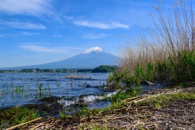 Kawaguchiko Gölü, Japonya Açık mavi gökyüzü ünlü Fuji Dağı görünümünde