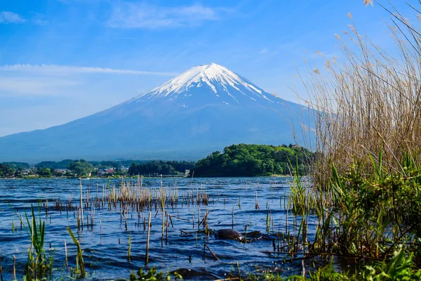 Famoso Monte Fuji Vista Cielo Azul Claro Desde Lago Kawaguchiko — Foto de Stock