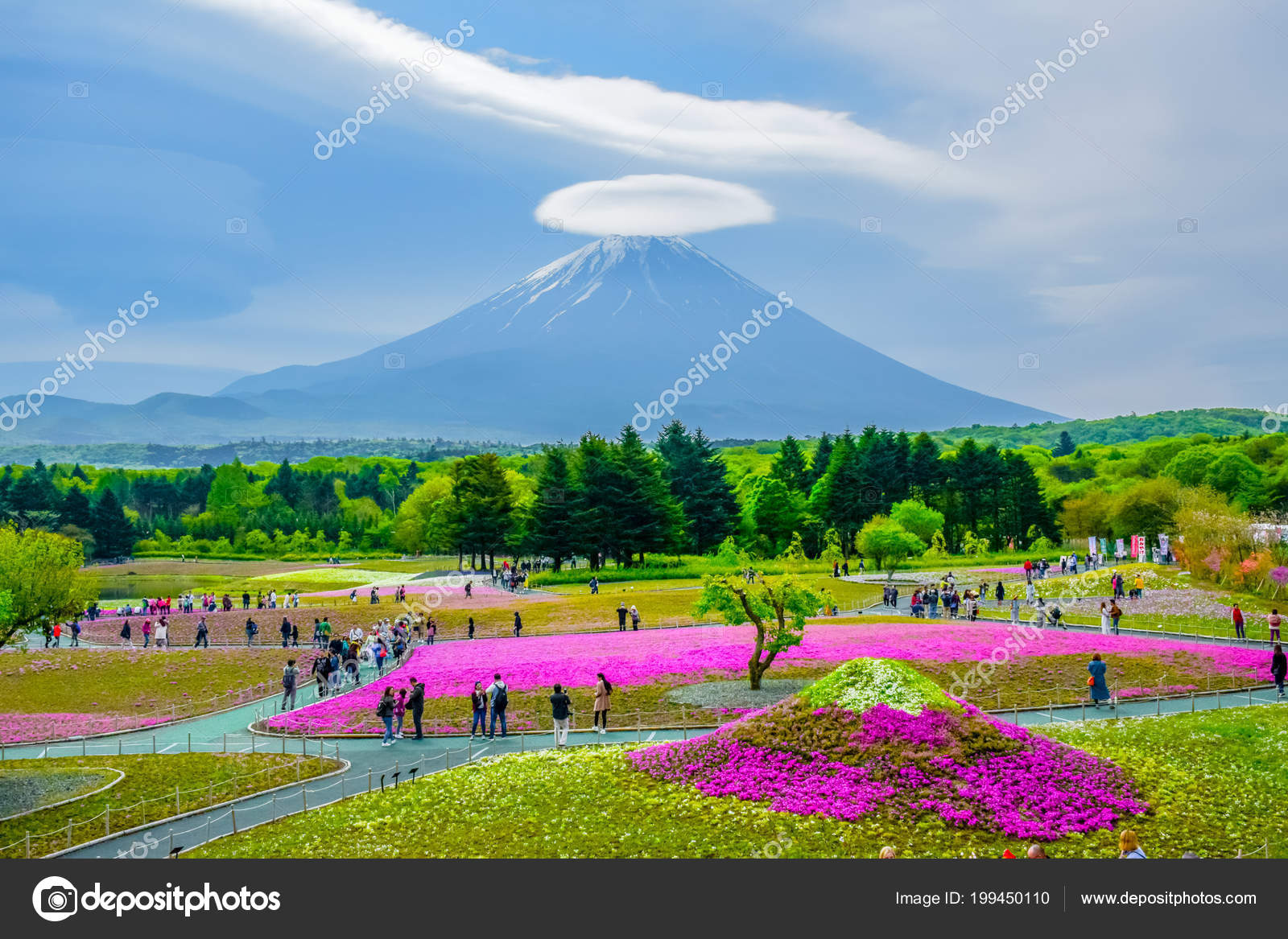Fujikawaguchiko Yamanashi Japan May 2018 Mount Fuji View Colorful Flower Stock Editorial Photo C Parrysuwanitch 199450110