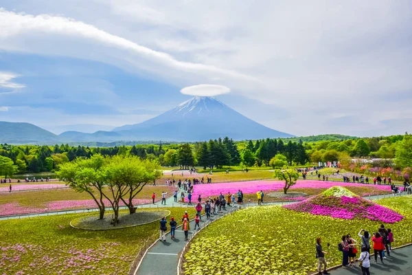 Fujikawaguchiko Yamanashi Japan Mount Fuji View Colorful Flower Field Fuji — Stock Photo, Image