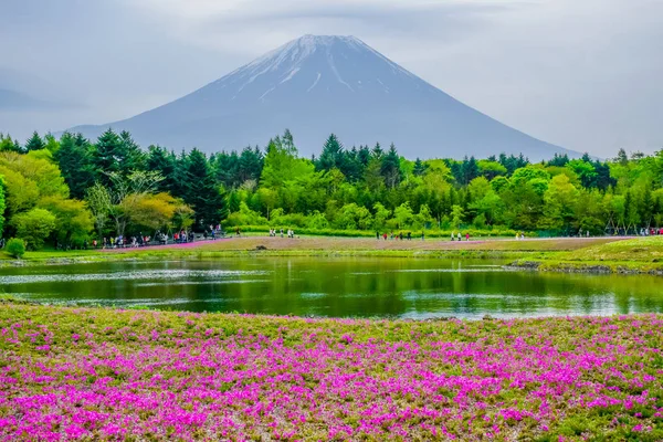 Fujikawaguchiko Yamanashi Japan Mount Fuji View Colorful Flower Field Fuji — Stock Photo, Image