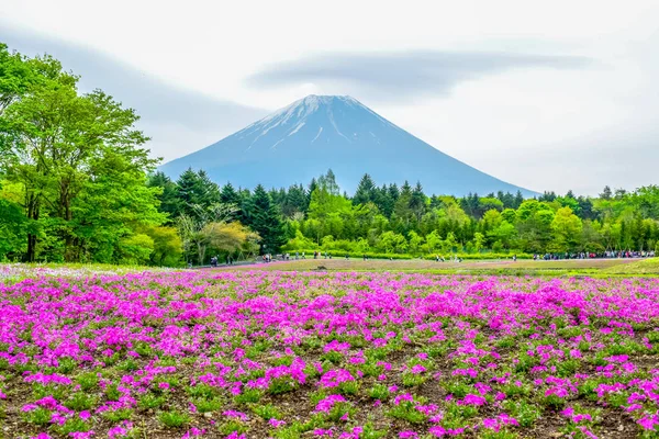 Fujikawaguchiko Yamanashi Japón Vista Del Monte Fuji Detrás Del Colorido — Foto de Stock