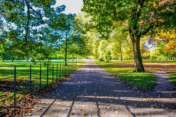 Beautiful View Colorful Tree Leaves Autumn Season Hyde Park London — Stock Photo, Image