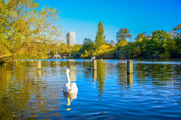 Belle Vue Sur Paysage Lac Serpentine Hyde Park Londres Royaume — Photo