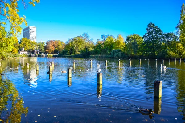 Belle Vue Sur Paysage Lac Serpentine Hyde Park Londres Royaume — Photo