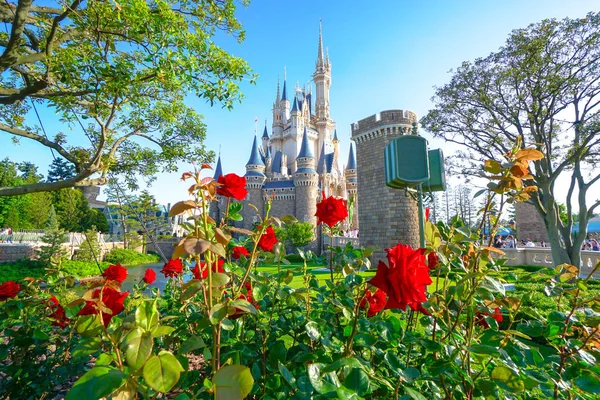Hermoso Castillo Cenicienta Icono Tokyo Disneyland Tokyo Disney Resort Urayasu —  Fotos de Stock