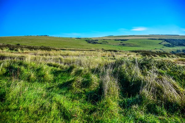 Venkovské Krajiny Cestě Sedmi Sester Bílá Křídovému Útesu South Downs — Stock fotografie