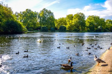 Güzel manzaralı St James's Park city, Londra, İngiltere, Birleşik Krallık
