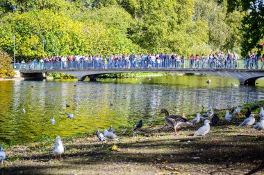 St James's Park Lake St James's Park, Londra, İngiltere, Birleşik Krallık'taki üzerinde köprüyü geçtikten turist