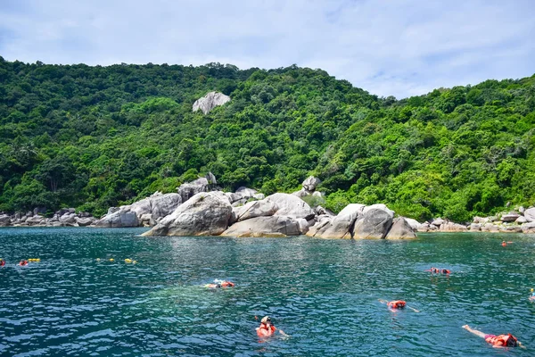 Les Touristes Sont Plongée Corail Île Koh Tao Une Destination — Photo