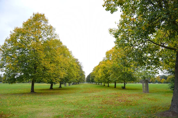 Parque Verde Público Durante Temporada Outono Com Campo Verde Cercado — Fotografia de Stock