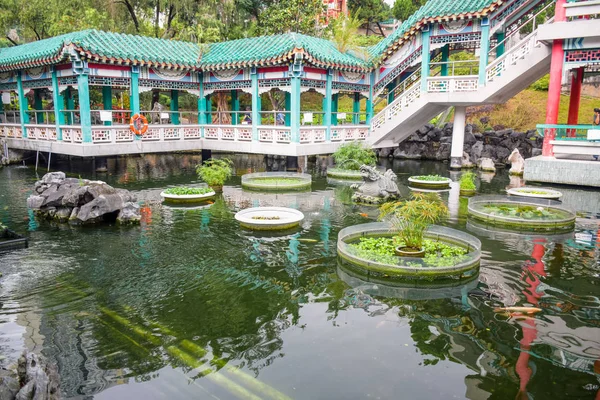 Een Chinese Traditionele Vijver Groene Tuin Sik Sik Yuen Wong — Stockfoto