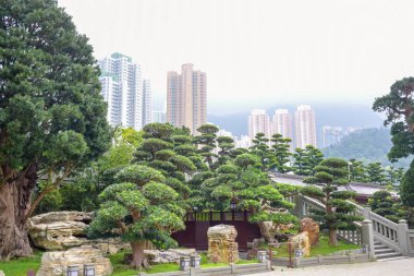 Nan Lian Garden, Tepeler, ağaçlar, kayalar ve ahşap yapılar, Hong Kong ile Diamond Hill bir Çin klasik bahçe