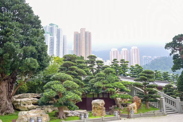 Nan Lian Garden, Tepeler, ağaçlar, kayalar ve ahşap yapılar, Hong Kong ile Diamond Hill bir Çin klasik bahçe