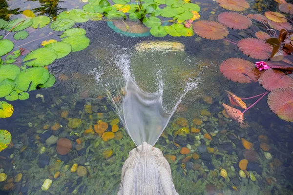 Lion Fountain Lotus Pond Chi Lin Nunnery Large Buddhist Temple — Stock Photo, Image