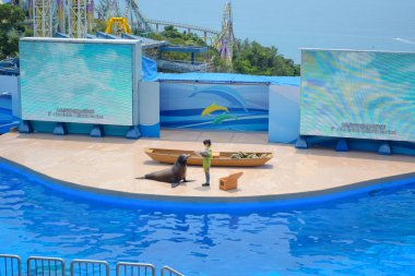 Hong Kong'da çok popüler bir turist hedef Hong Kong Ocean Park tiyatroda gerçekleştirilen antrenörü ile sahnede Deniz aslanı gösterisi