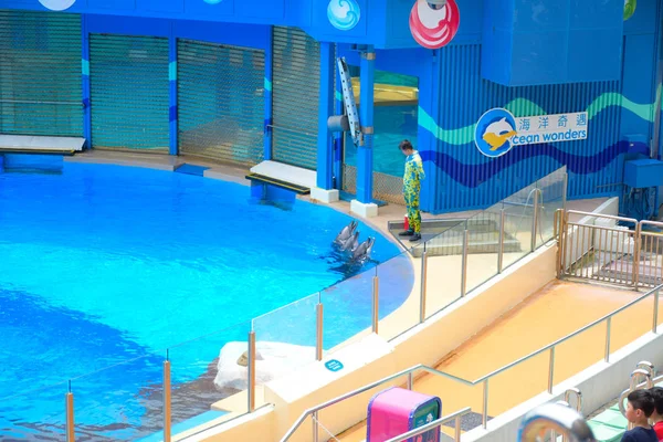 Espectáculos Delfines Con Entrenador Realizado Hong Kong Ocean Park Teatro — Foto de Stock