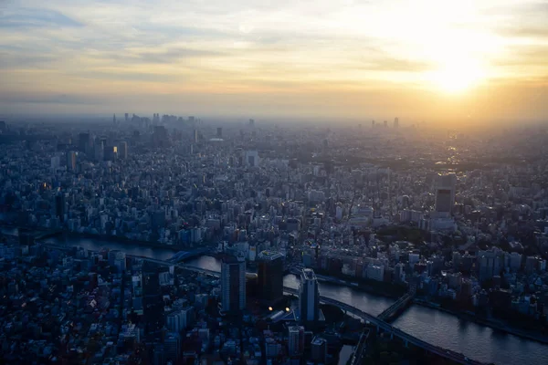 Aerial view of Tokyo cityscape from top of Tokyo Skytree Tower in twilight evening dusk