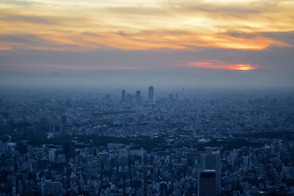 Vue Aérienne Paysage Urbain Tokyo Depuis Sommet Tour Skytree Tokyo Image En Vente