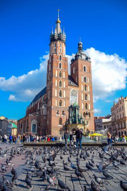 St. Mary Bazilikası 'nı cephede güvercin sürüsüyle ziyaret eden turistler, Polonya' nın başkenti Krakow 'daki ana kasaba meydanına bitişik antik bir Gotik Polonya kilisesi.