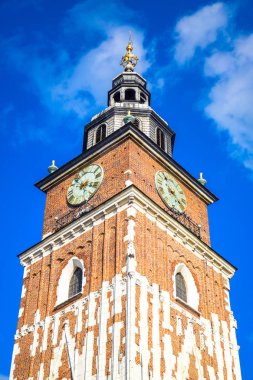 Krakow 'un Belediye Binası Kulesi, Polonya' nın Krakow kentindeki Ana Pazar Meydanı 'nın ana kulesi.