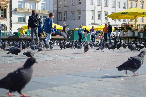 Enfants Jouant Avec Pigeon Sur Place Ville Dans Centre Vieille — Photo